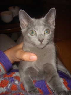 DSC02233.JPG