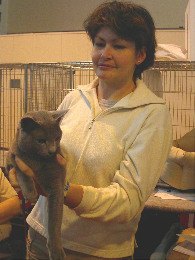 Animalia2004
