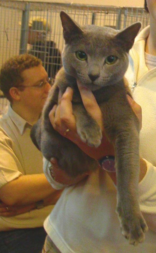 Animalia2004