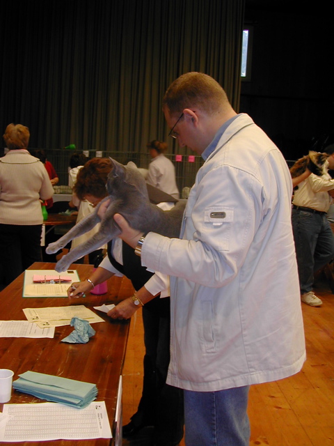 Expo_Willisau
