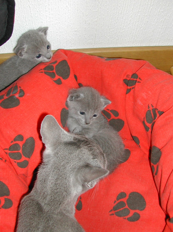 DSCN3133.JPG