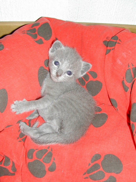 DSCN3134.JPG