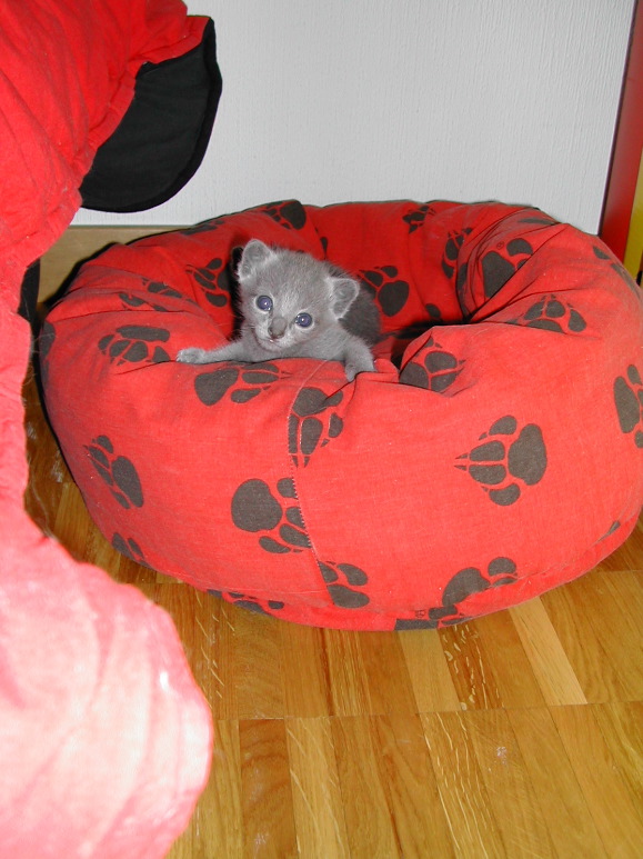DSCN3136.JPG