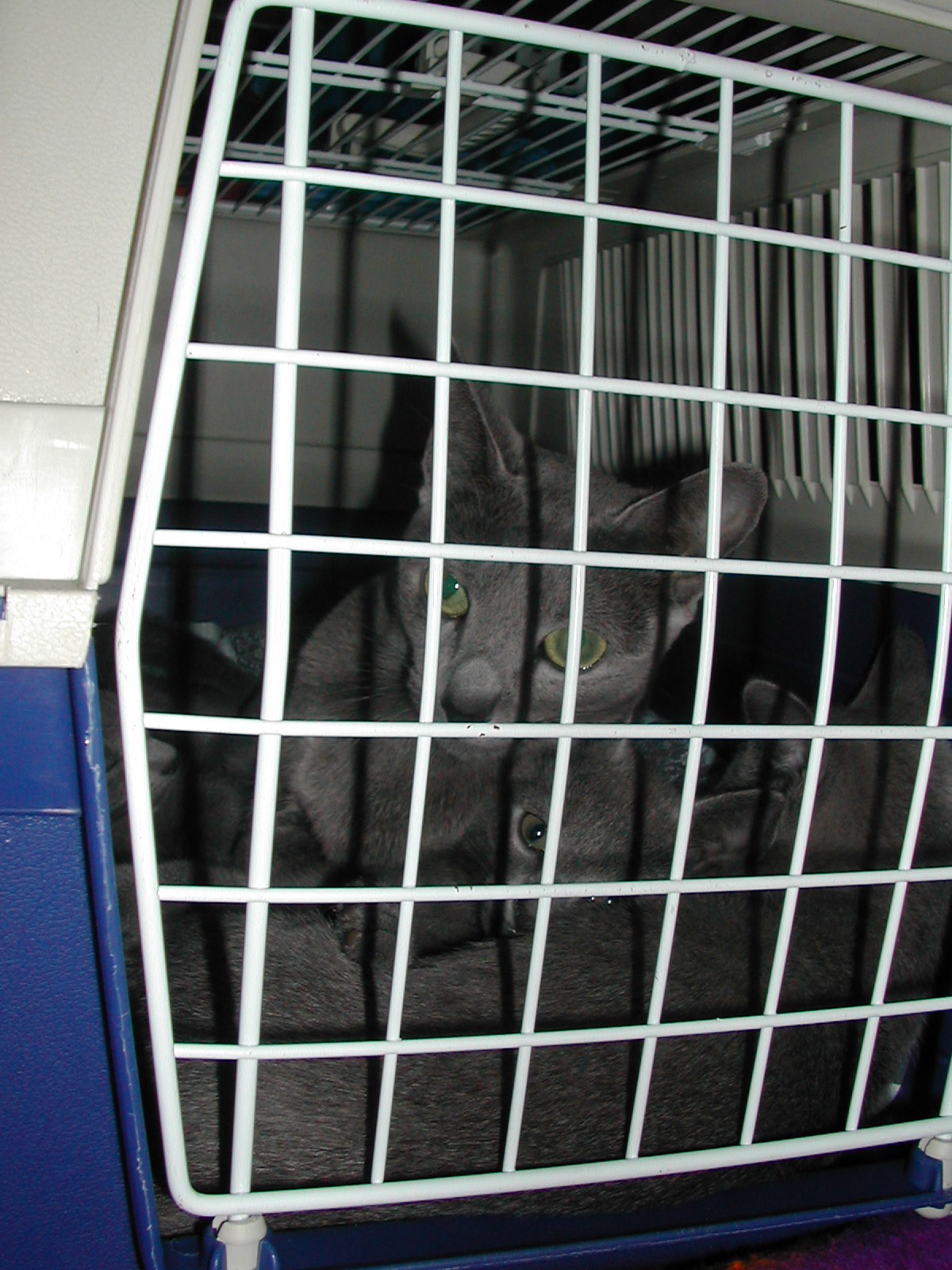 DSCN3499.JPG