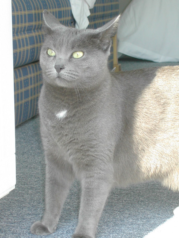 DSCN3489.JPG
