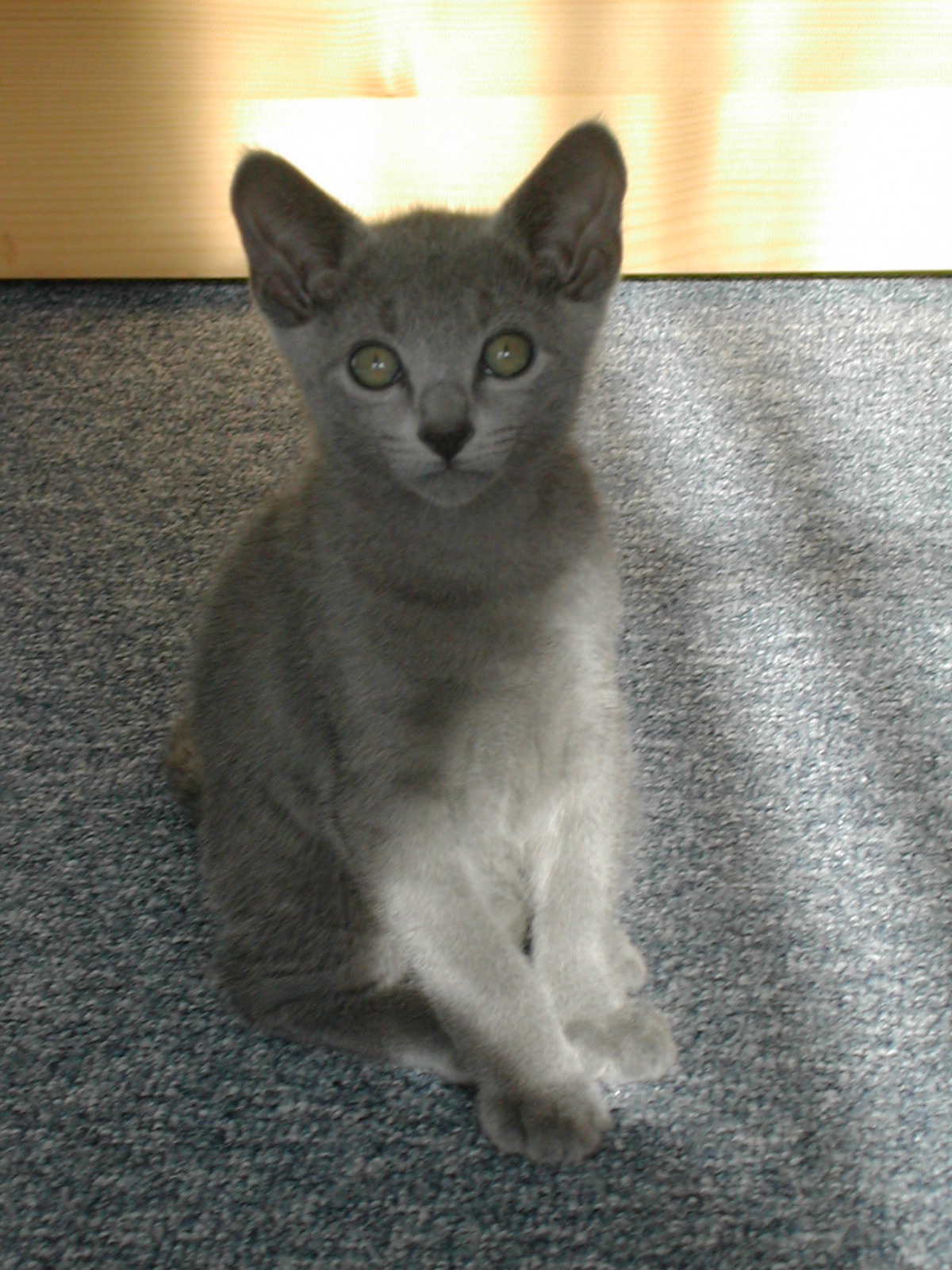 DSCN3473.JPG