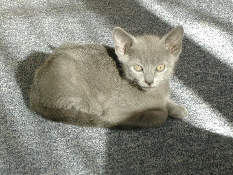 DSCN3471.JPG