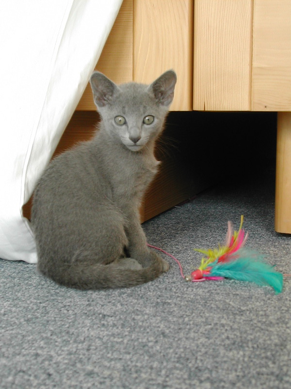 DSCN3470.JPG