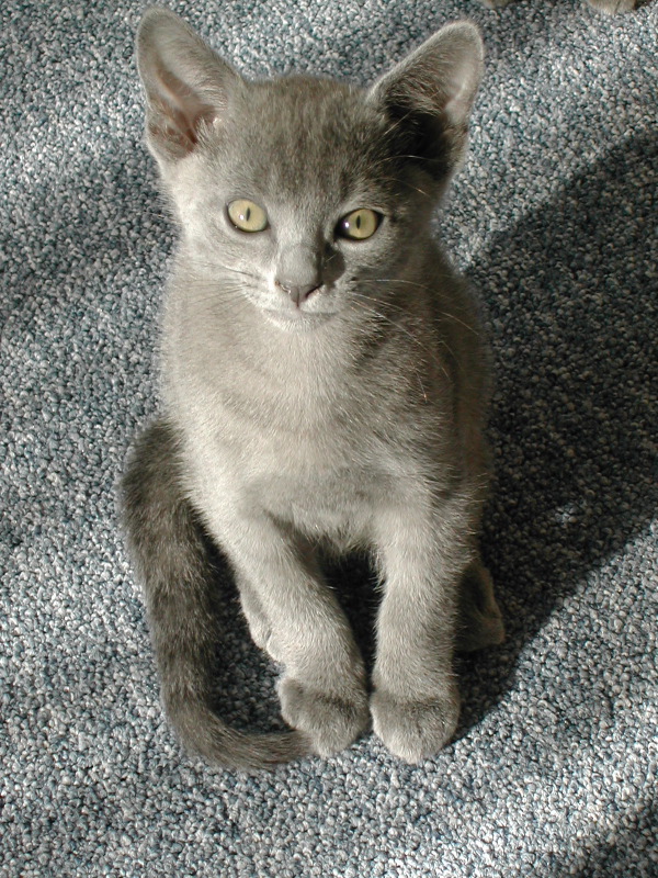 DSCN3469.JPG