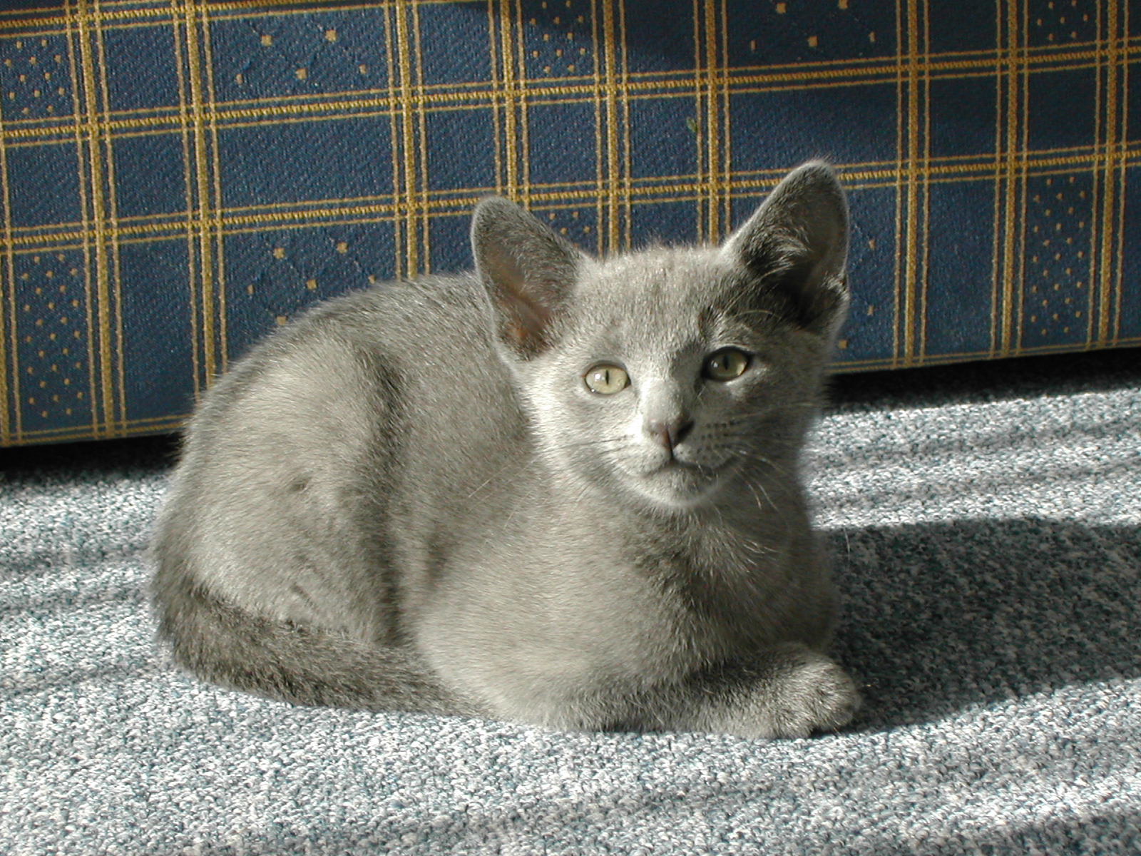 DSCN3480.JPG