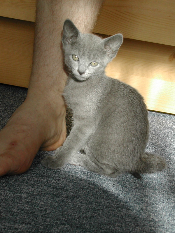 DSCN3479.JPG