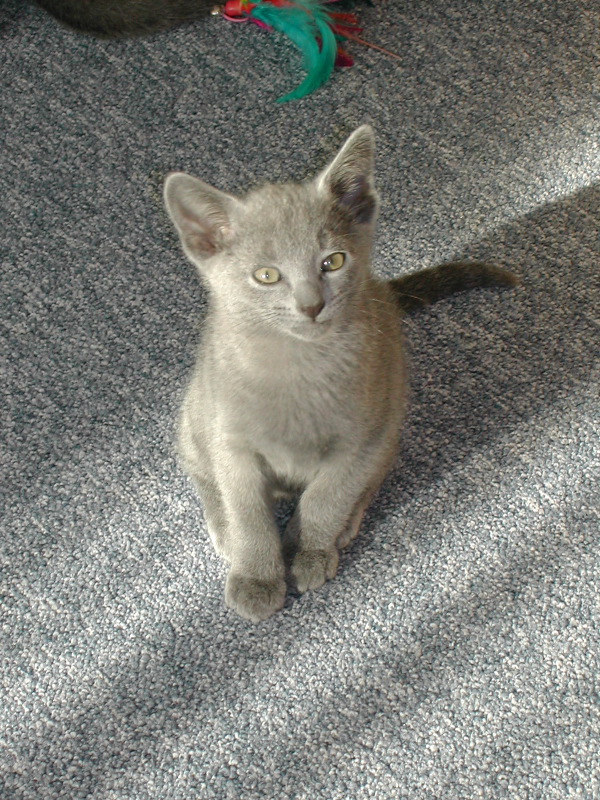 DSCN3465.JPG