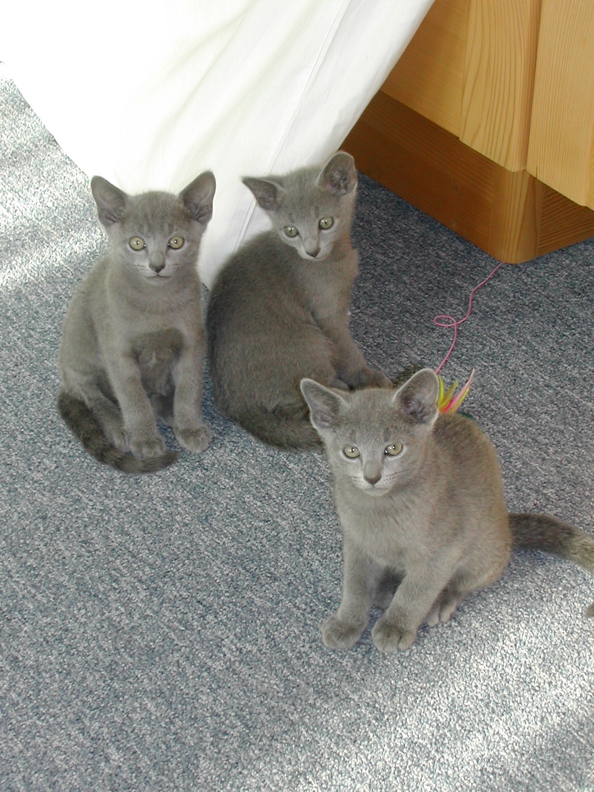 DSCN3461.JPG