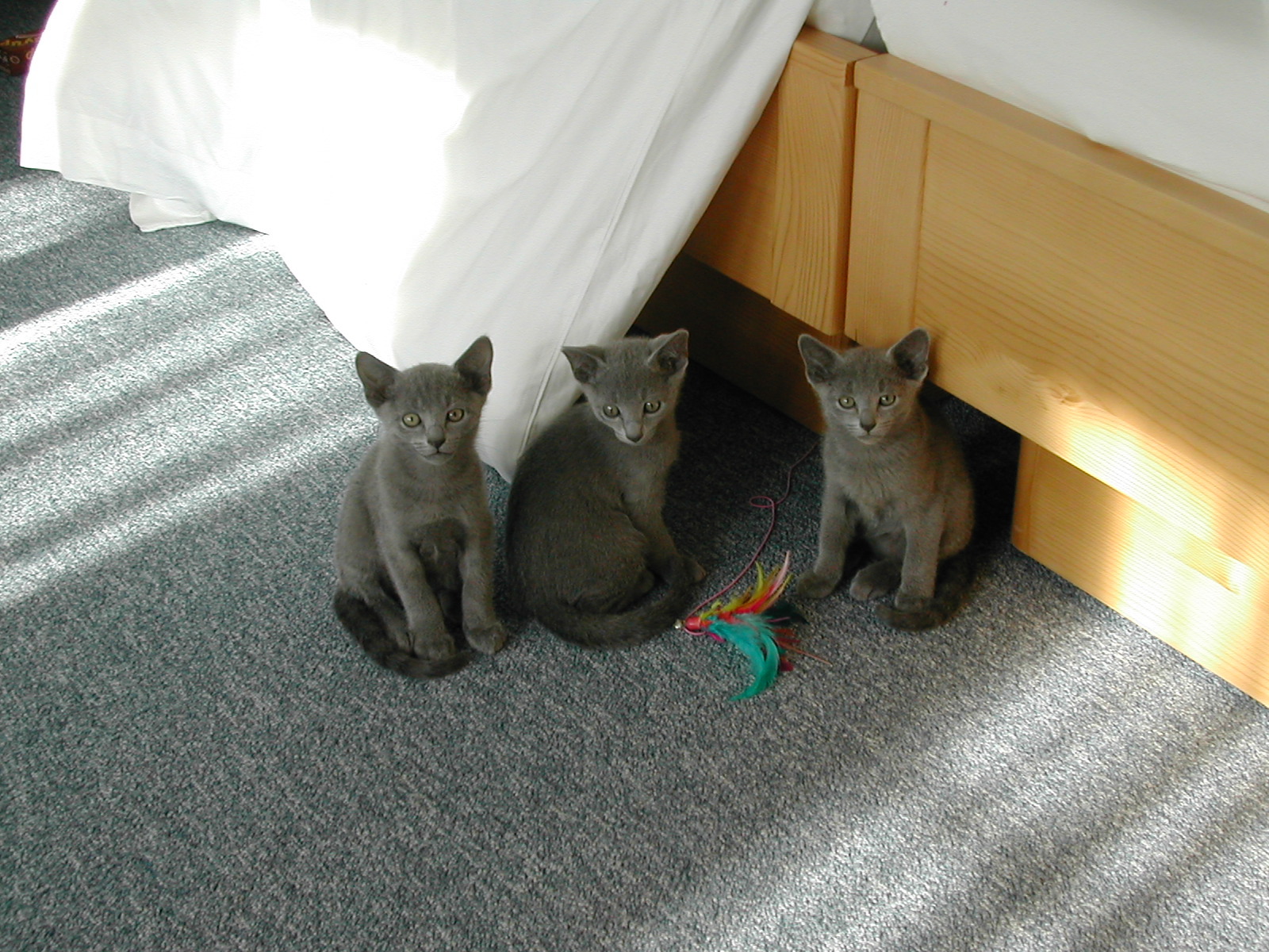 DSCN3460.JPG