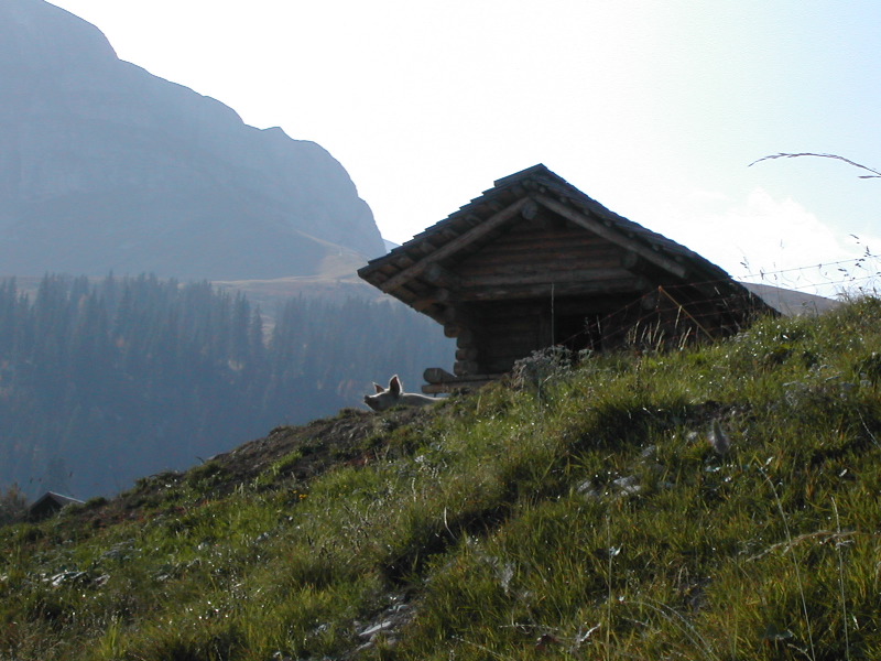 DSCN3485.JPG