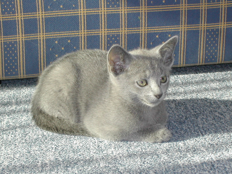 DSCN3481.JPG