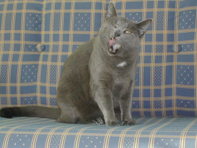 DSCN3475.JPG