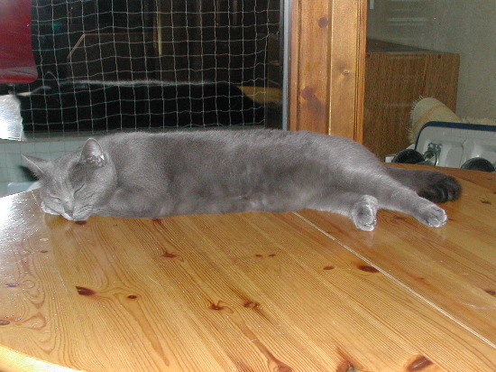 DSCN3346.JPG