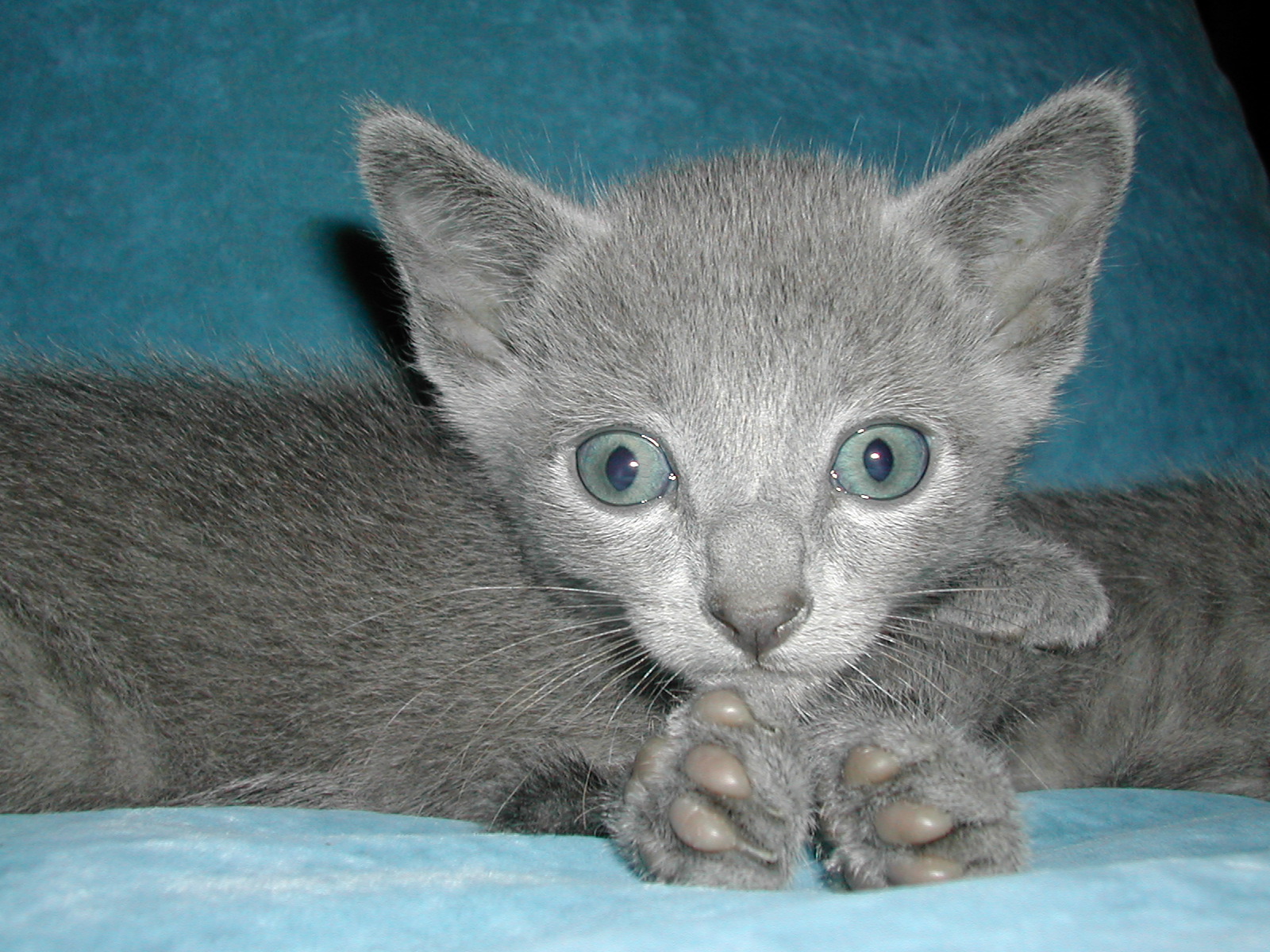 DSCN3330.JPG