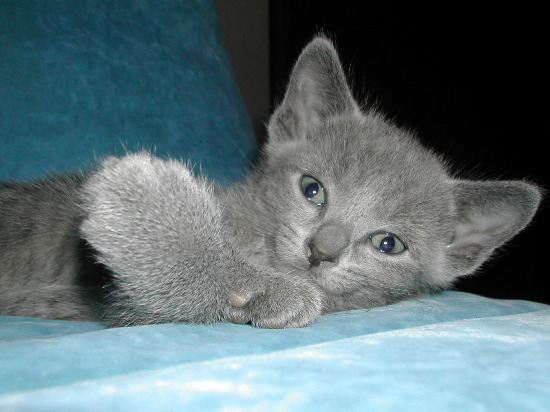 DSCN3329.JPG