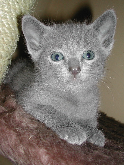 DSCN3325.JPG