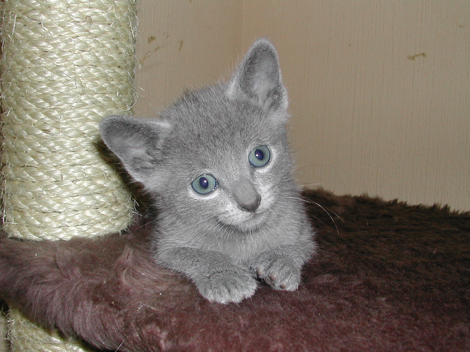 DSCN3323.JPG
