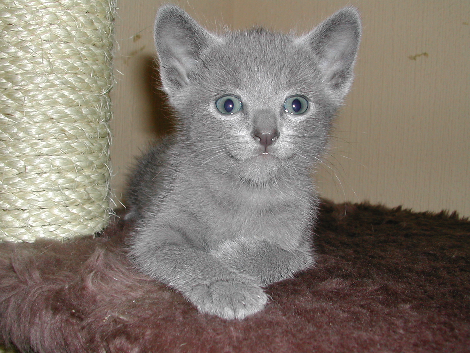 DSCN3321.JPG