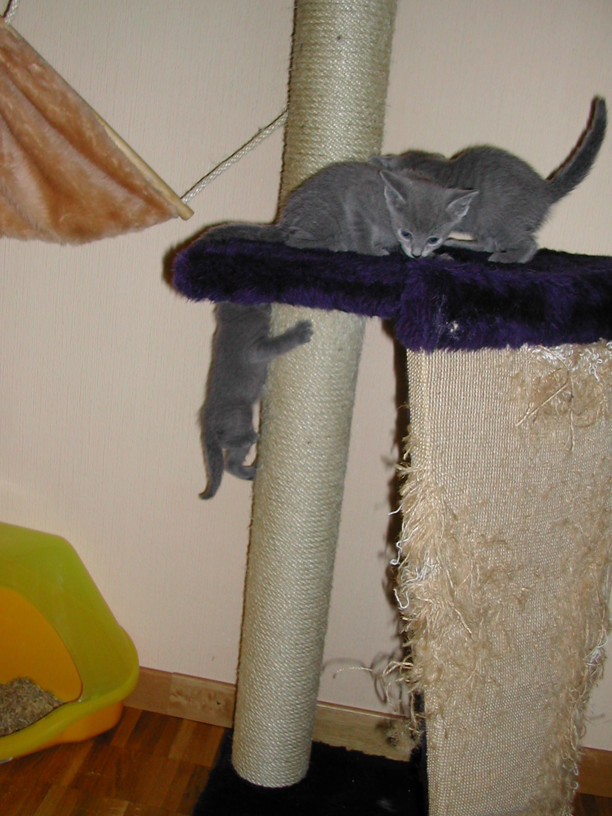 DSCN3320.JPG