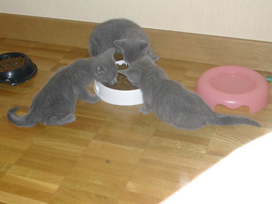 DSCN3317.JPG
