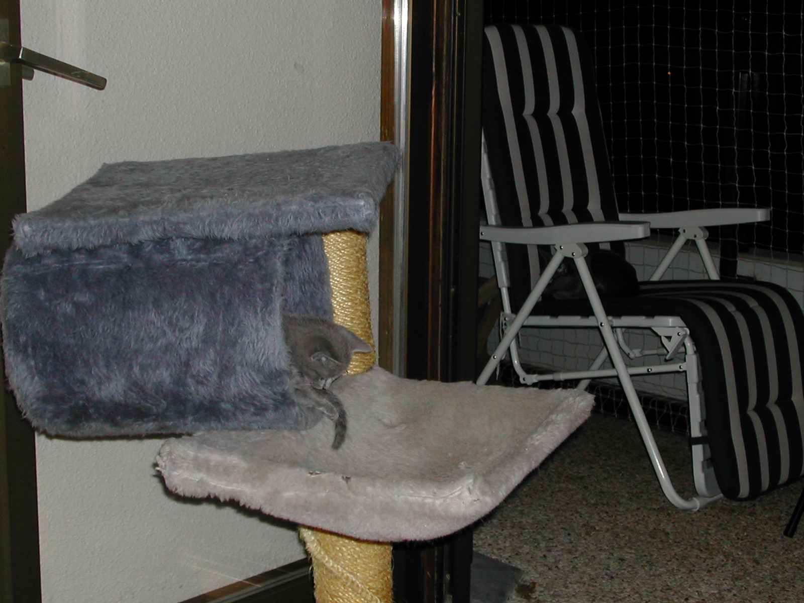 DSCN3343.JPG