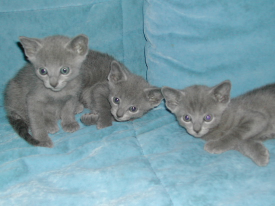 DSCN3342.JPG