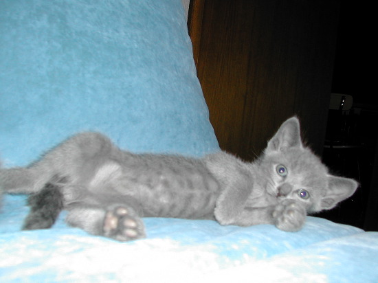 DSCN3340.JPG