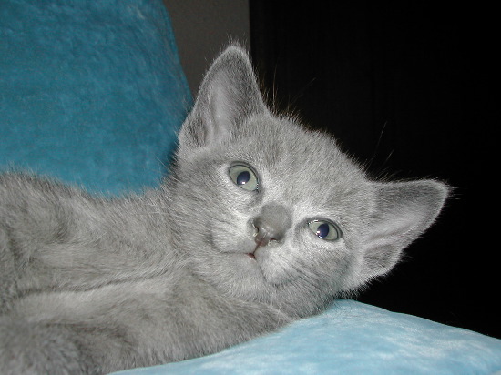 DSCN3339.JPG