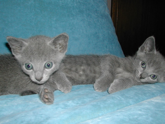 DSCN3337.JPG