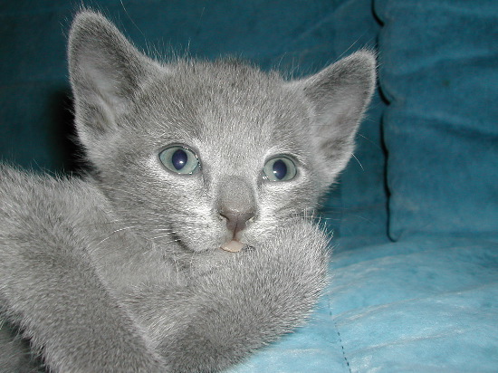 DSCN3336.JPG