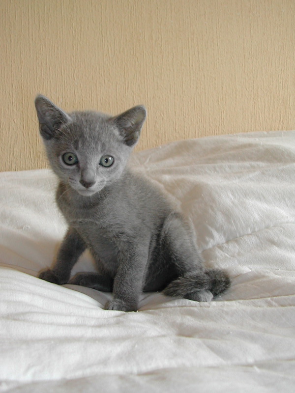 DSCN3396.JPG