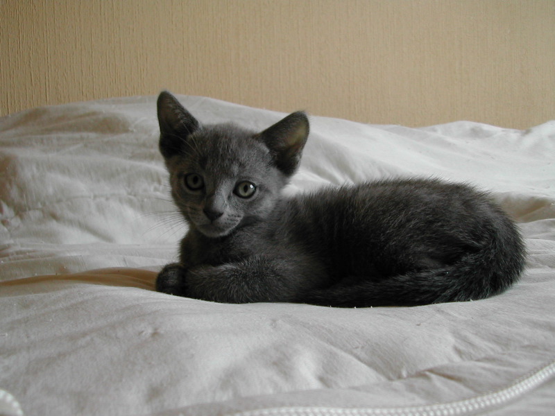 DSCN3395.JPG