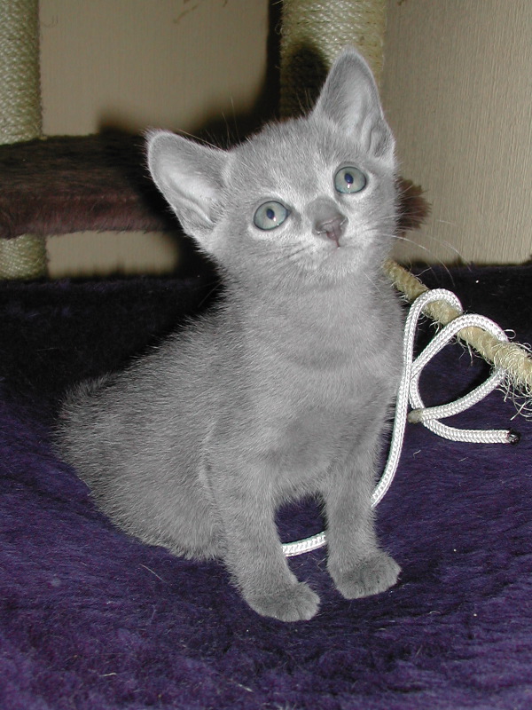 DSCN3382.JPG