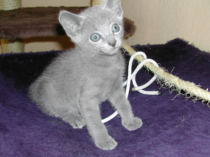 DSCN3380.JPG