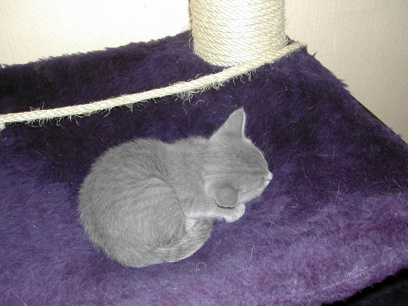 DSCN3375.JPG