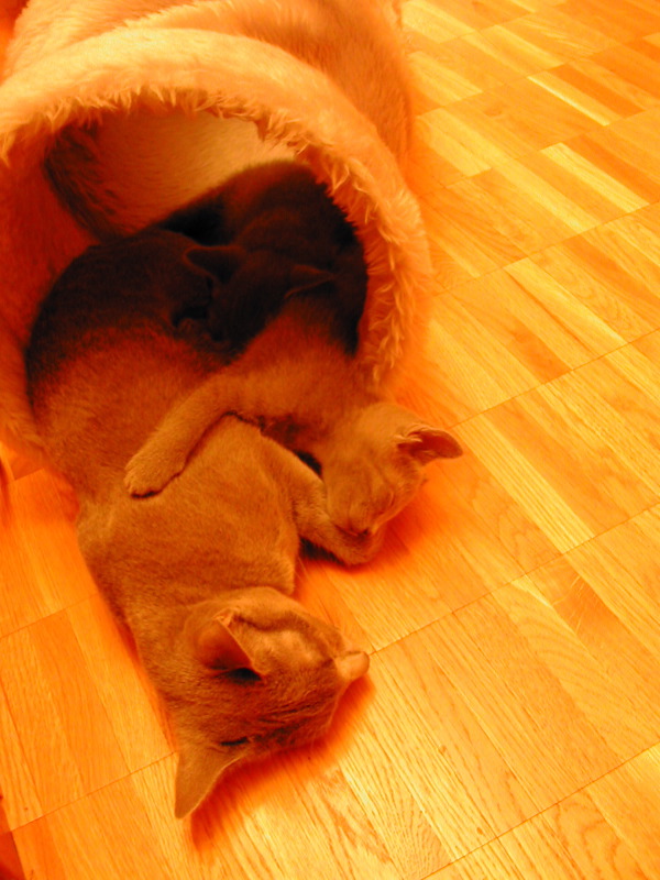DSCN3373.JPG