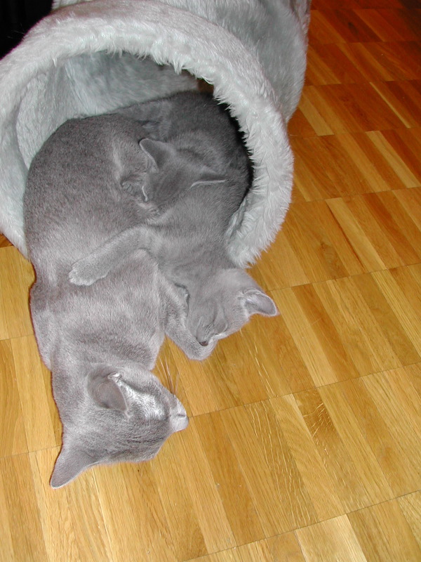 DSCN3370.JPG