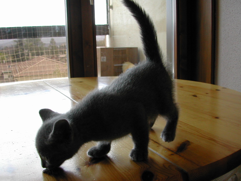 DSCN3368.JPG