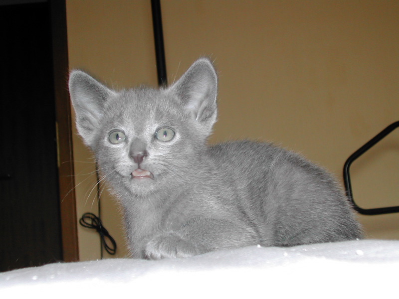 DSCN3391.JPG