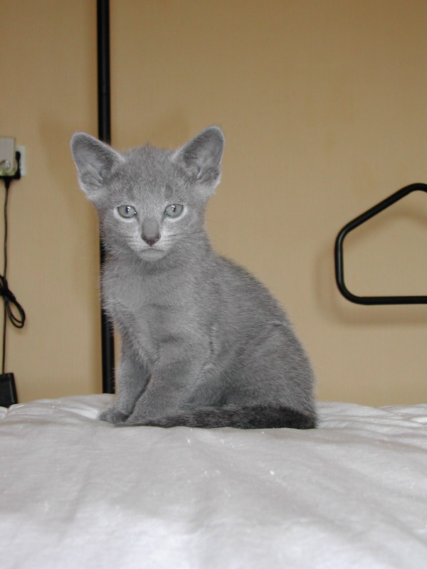 DSCN3390.JPG