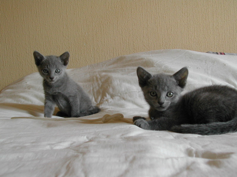 DSCN3389.JPG