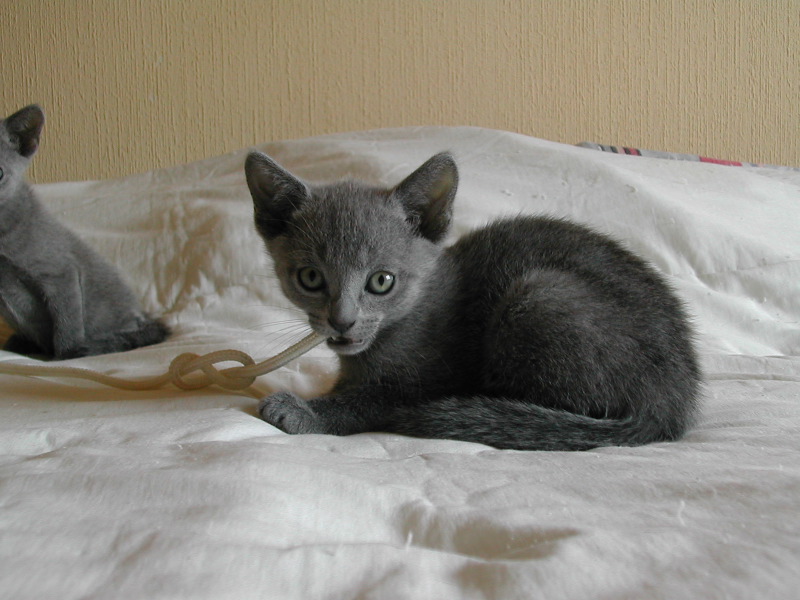 DSCN3388.JPG