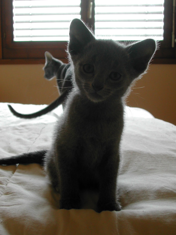 DSCN3387.JPG