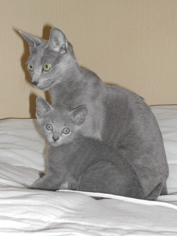 DSCN3385.JPG
