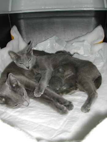 DSCN3001.JPG